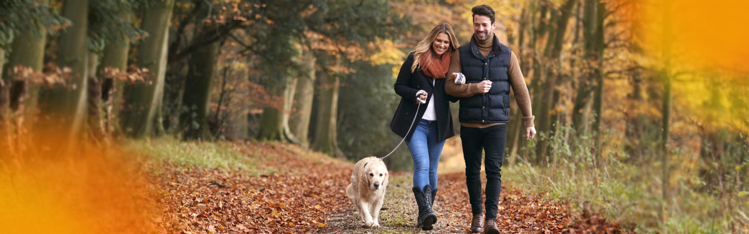 Пара с собакой